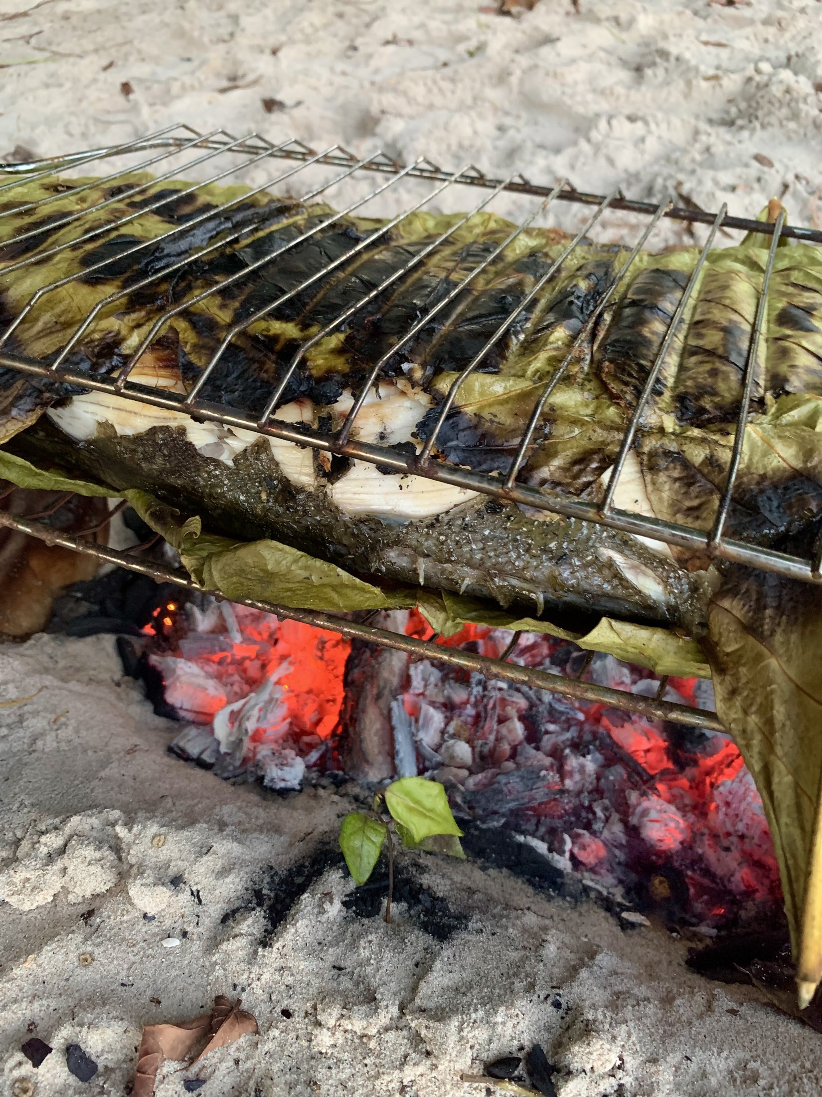 Peixe envolto em folhas grelhando na fogueira