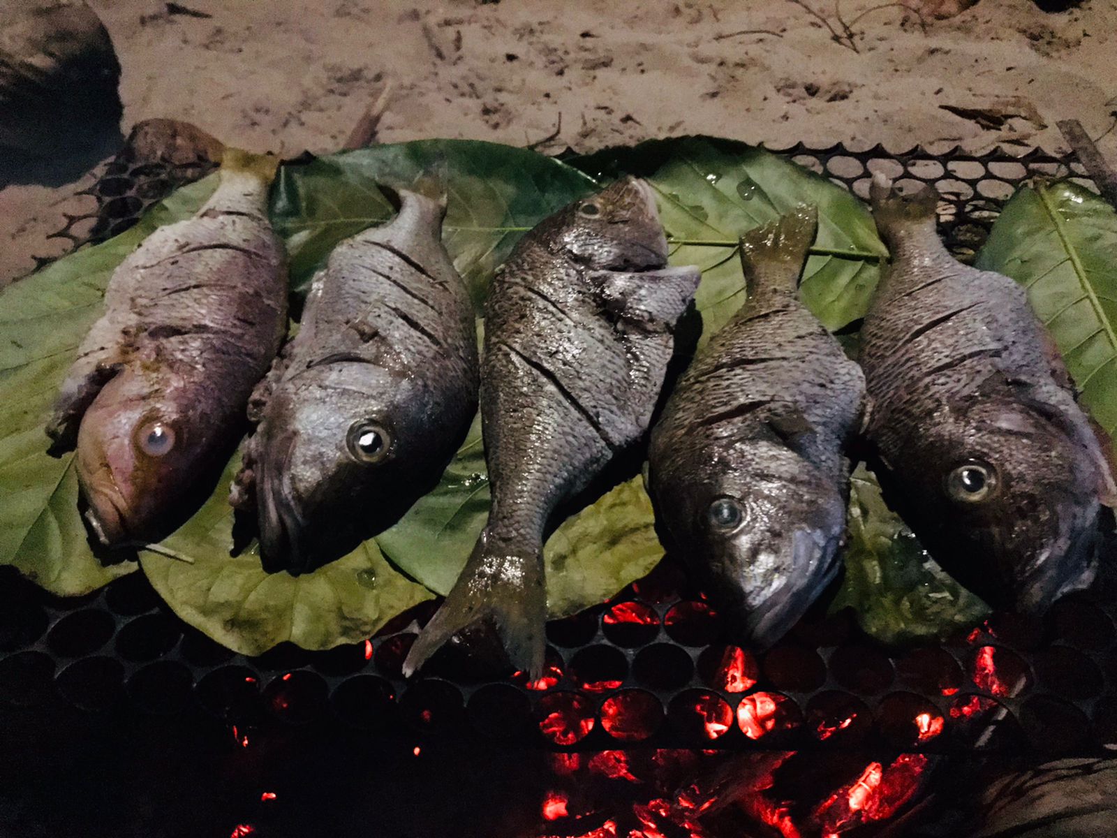 Peixes frescos sobre folhas prontos para ir à brasa